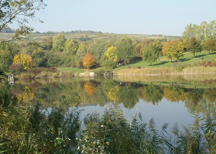 Oldtimer Motorhotel Hotel