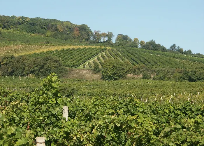 Oldtimer Motorhotel Guntramsdorf